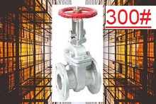 Load image into Gallery viewer, Leader Gate Valve 300 CLASS Cat No: CCS-002,Type:Bolted Bonet,300# Flanged ANSI RF, WCB BODY ,WCB Wedge ,Shaft :-SS410 ,Body Seat &amp;,Wedge facing :13% Cr.,Hand Wheel Operated